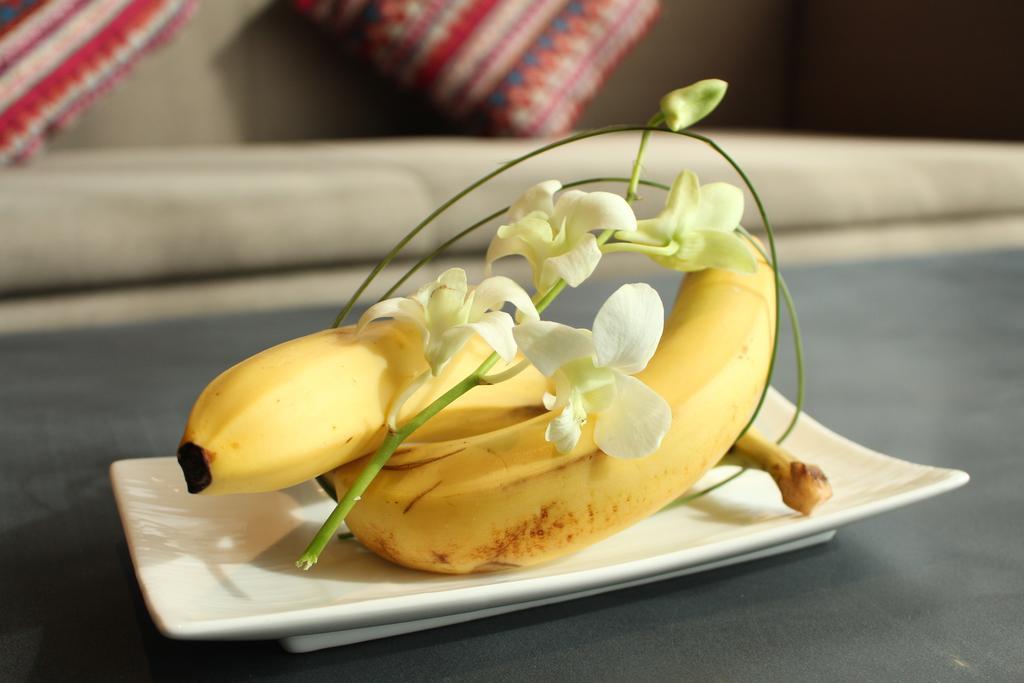Ssaw Boutique Hotel Delan Mogan Mountain Deqing Екстер'єр фото